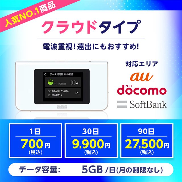 クラウドタイプ 100GB/月 1日700円（税込）