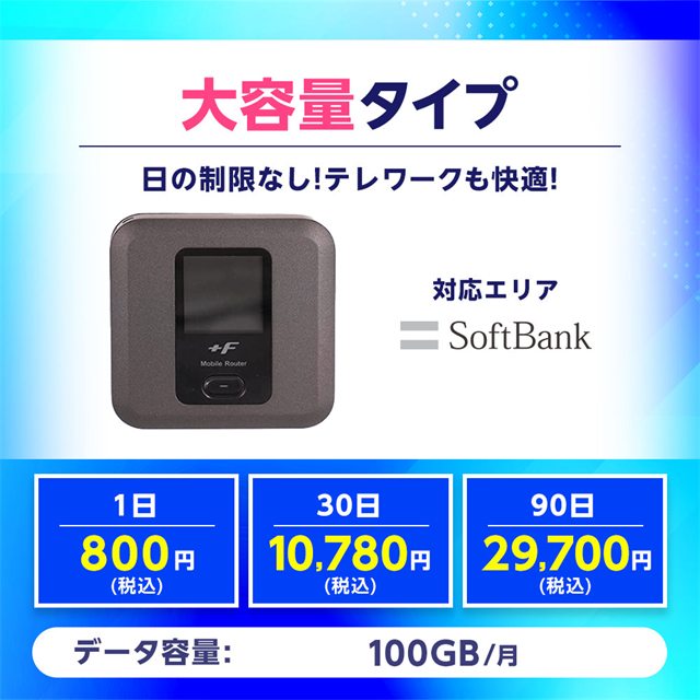 大容量タイプ 100GB/月 1日800円（税込）
